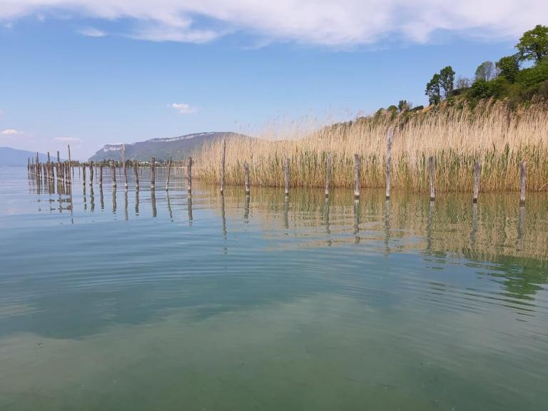 Le Lamartine, Vue Magnifique Face Au Lac Du Bourget エクスレバン エクステリア 写真
