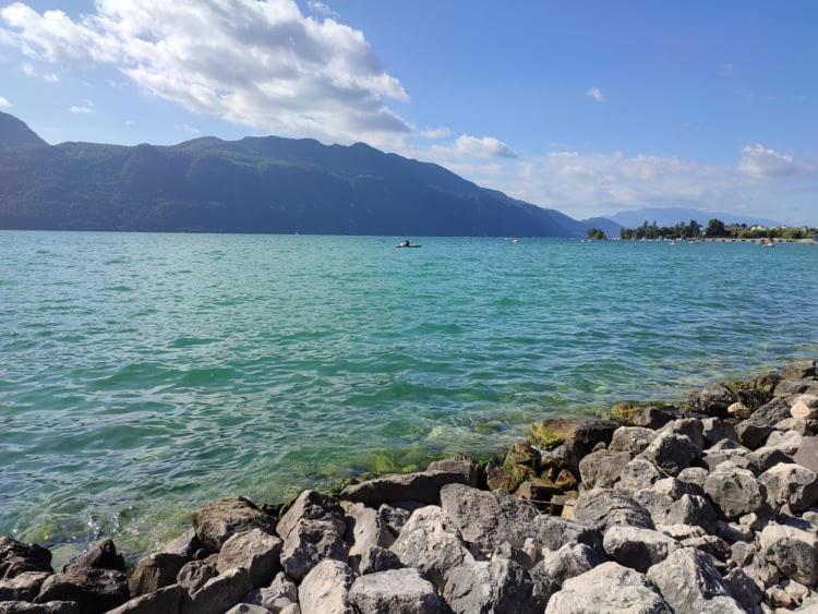 Le Lamartine, Vue Magnifique Face Au Lac Du Bourget エクスレバン エクステリア 写真